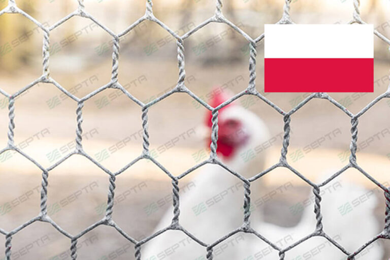 dostawa-siatki-drucianej-dla-drobiu-w-polsce